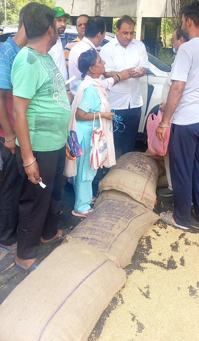 Nitin Kohli distributing ration and grocery kits to flood-affected families in Jalandhar Central